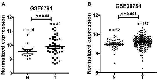 J Cancer Image