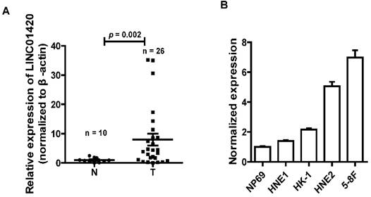 J Cancer Image