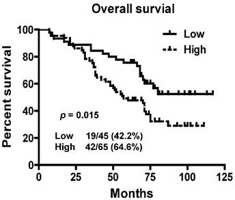 J Cancer Image