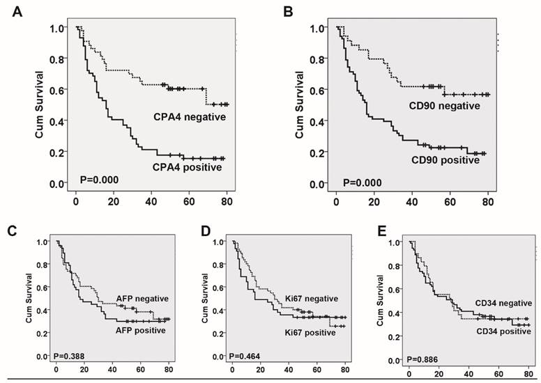 J Cancer Image