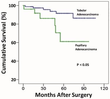 J Cancer Image