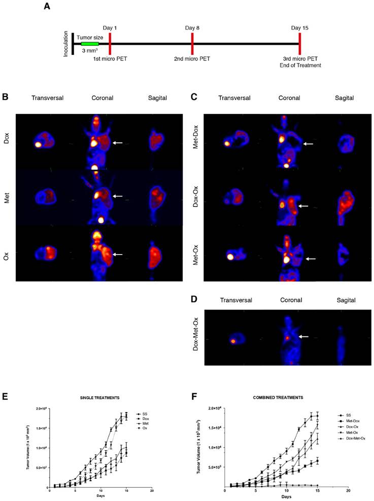 J Cancer Image