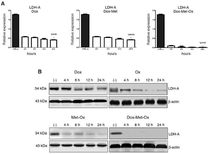 J Cancer Image