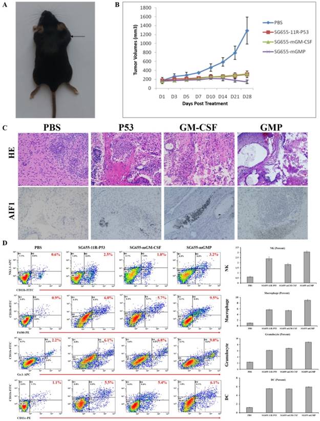 J Cancer Image