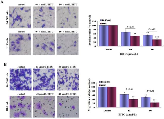 J Cancer Image