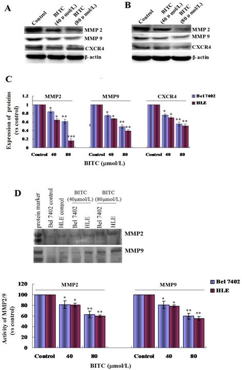 J Cancer Image