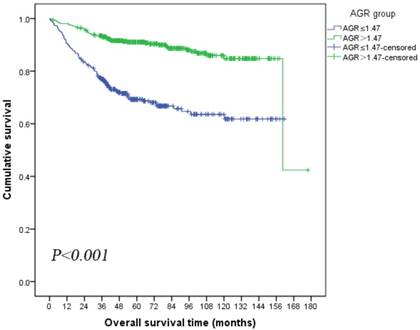 J Cancer Image