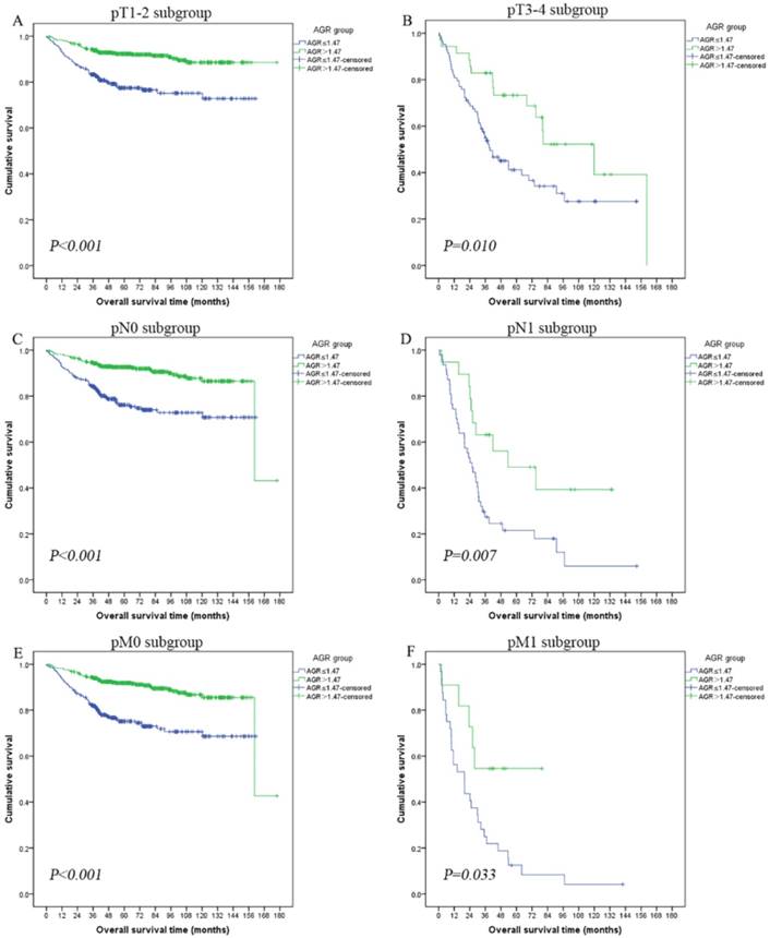 J Cancer Image