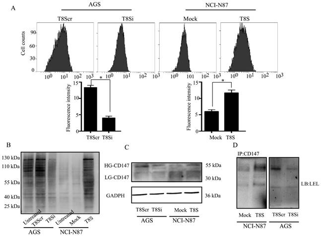 J Cancer Image