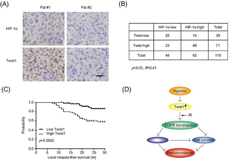 J Cancer Image