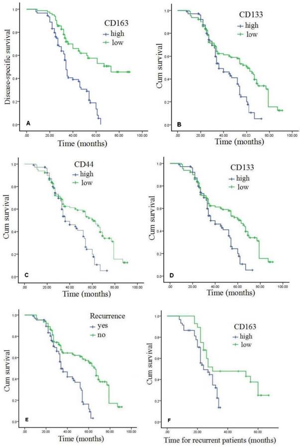 J Cancer Image