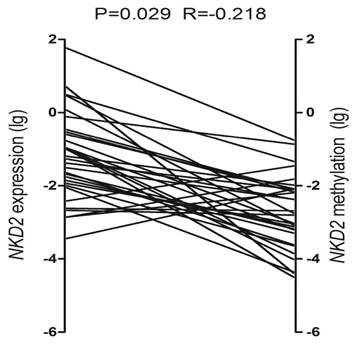 J Cancer Image