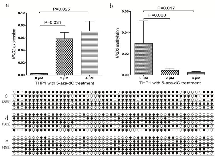 J Cancer Image