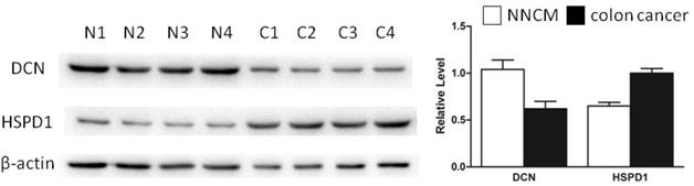 J Cancer Image