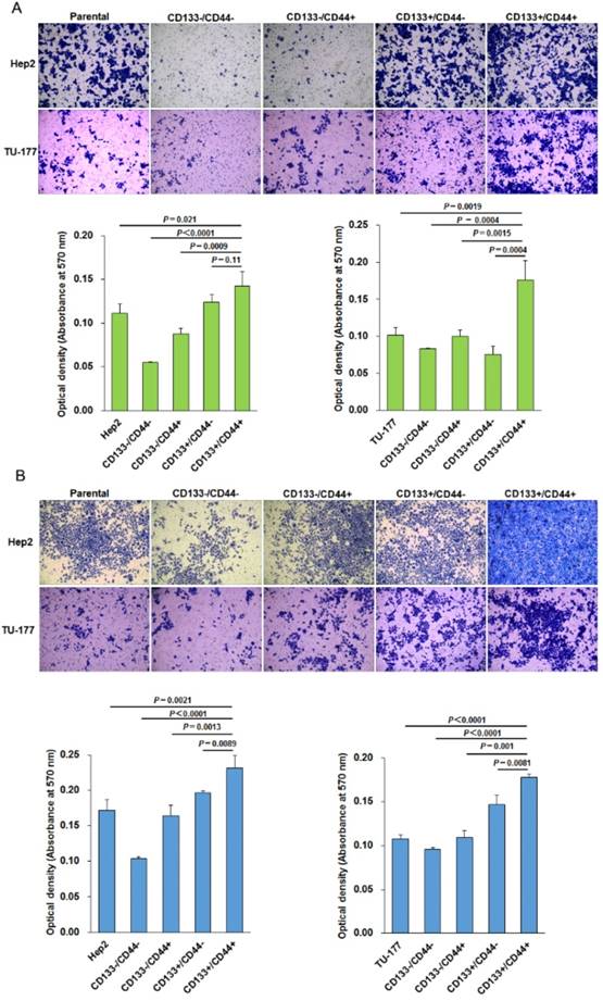 J Cancer Image