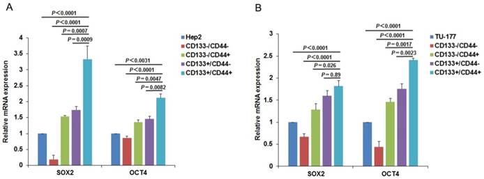 J Cancer Image