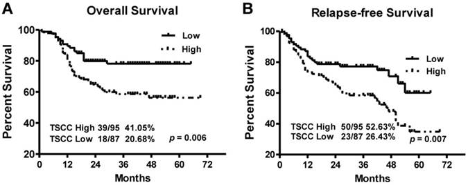 J Cancer Image