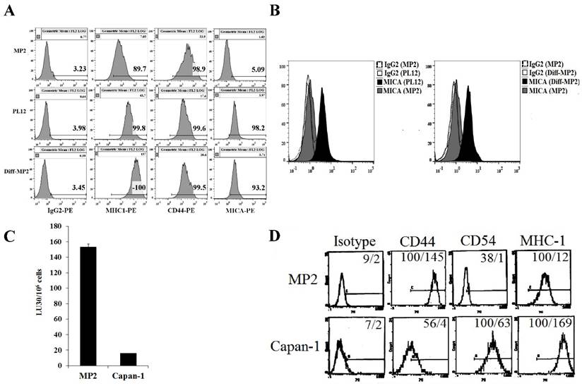 J Cancer Image