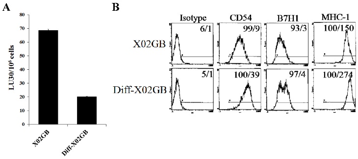 J Cancer Image