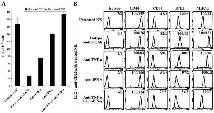 J Cancer Image