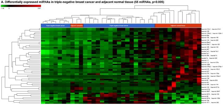 J Cancer Image