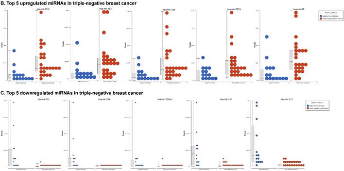 J Cancer Image