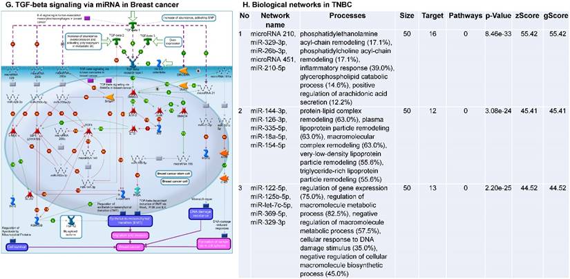 J Cancer Image