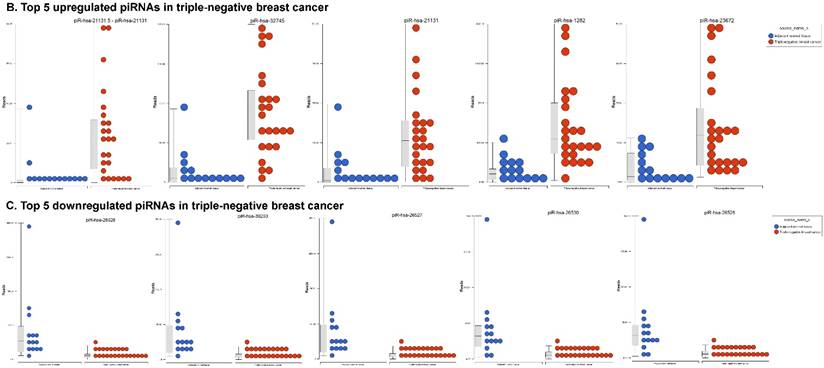 J Cancer Image