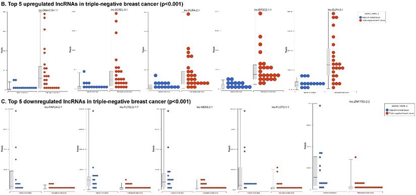 J Cancer Image