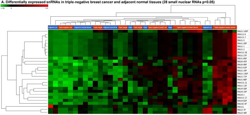 J Cancer Image