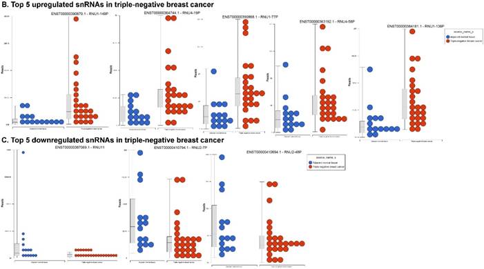 J Cancer Image