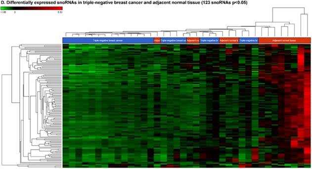 J Cancer Image