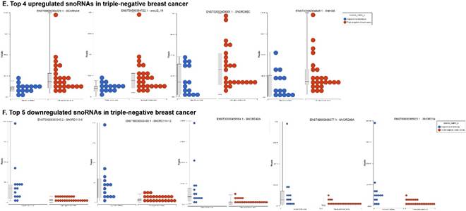 J Cancer Image