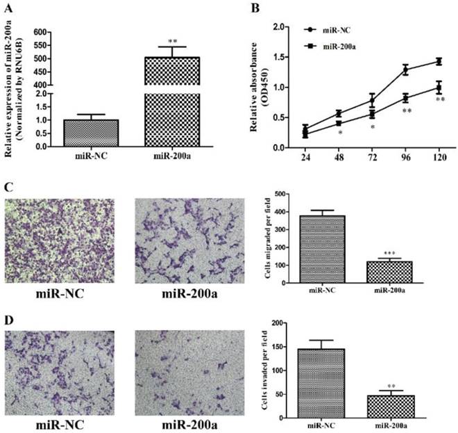 J Cancer Image