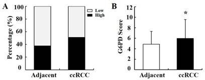 J Cancer Image