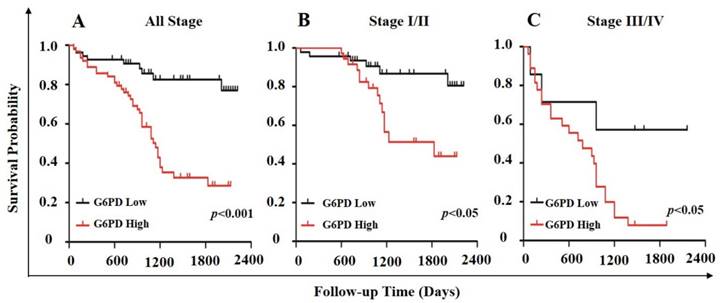 J Cancer Image