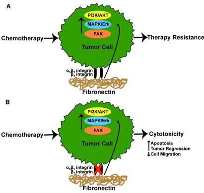 J Cancer Image