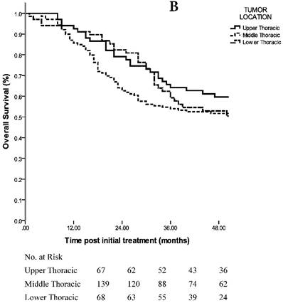 J Cancer Image