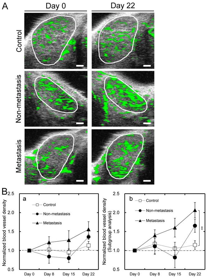 J Cancer Image