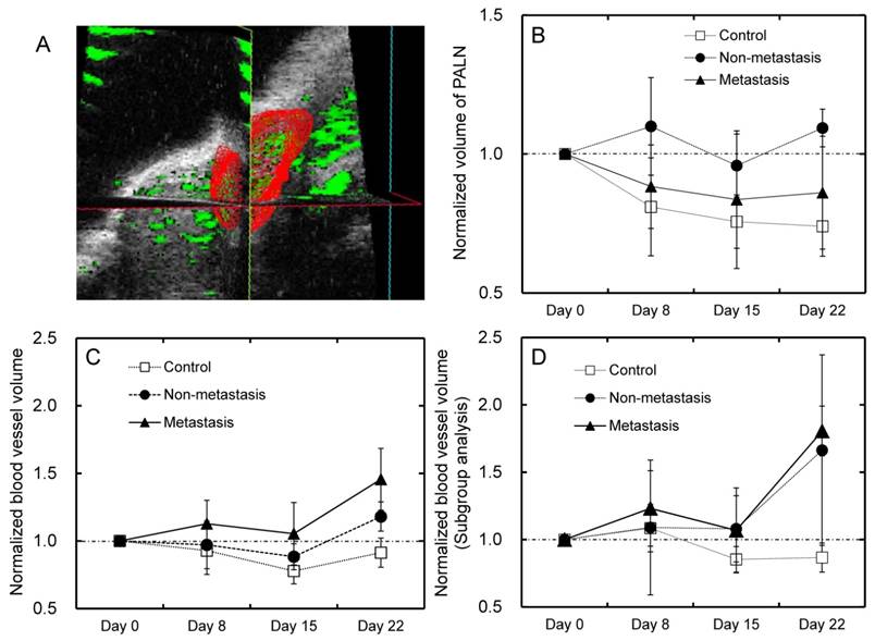 J Cancer Image