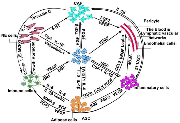 J Cancer Image