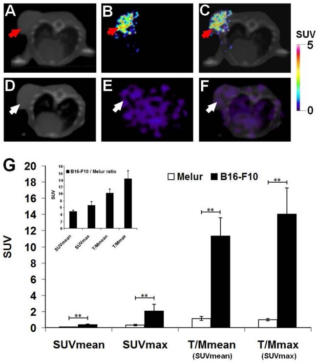 J Cancer Image