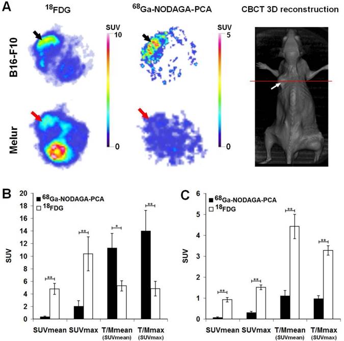 J Cancer Image