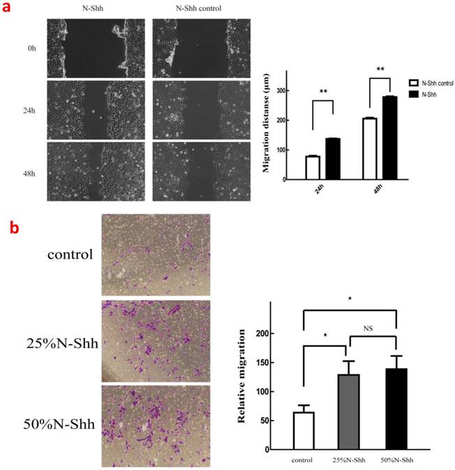 J Cancer Image