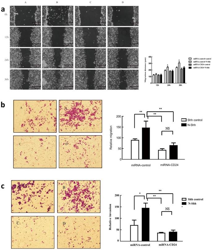 J Cancer Image