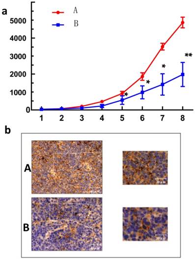 J Cancer Image