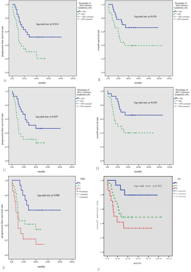 J Cancer Image