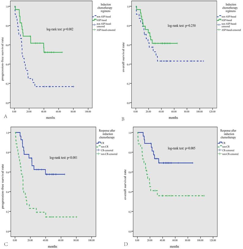 J Cancer Image