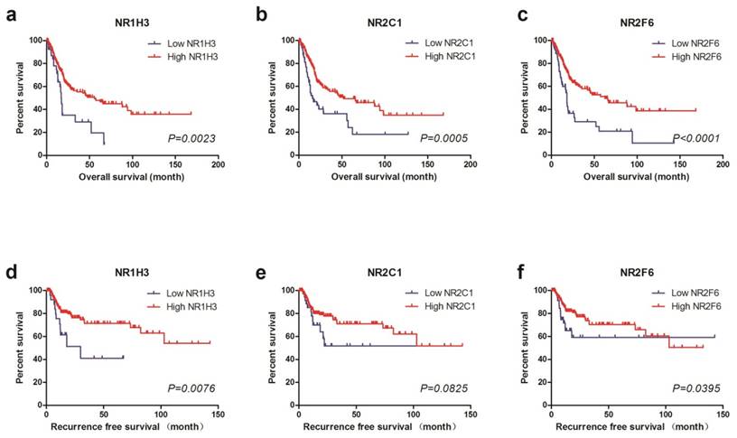 J Cancer Image