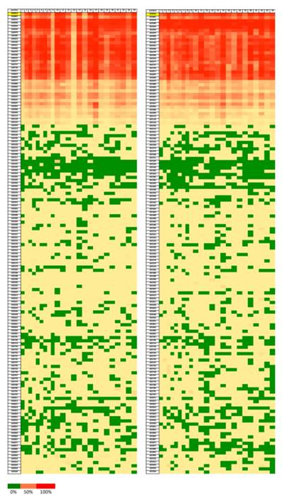 J Cancer Image